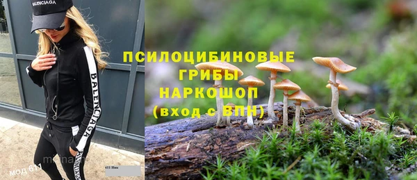 гидропоника Пролетарск
