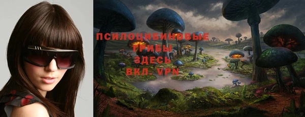 mdpv Ветлуга