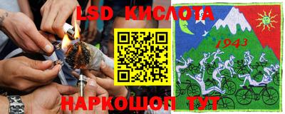 прущие грибы Краснокаменск