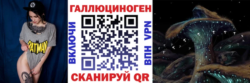 OMG зеркало  маркетплейс какой сайт  Псилоцибиновые грибы MAGIC MUSHROOMS  Тихорецк 