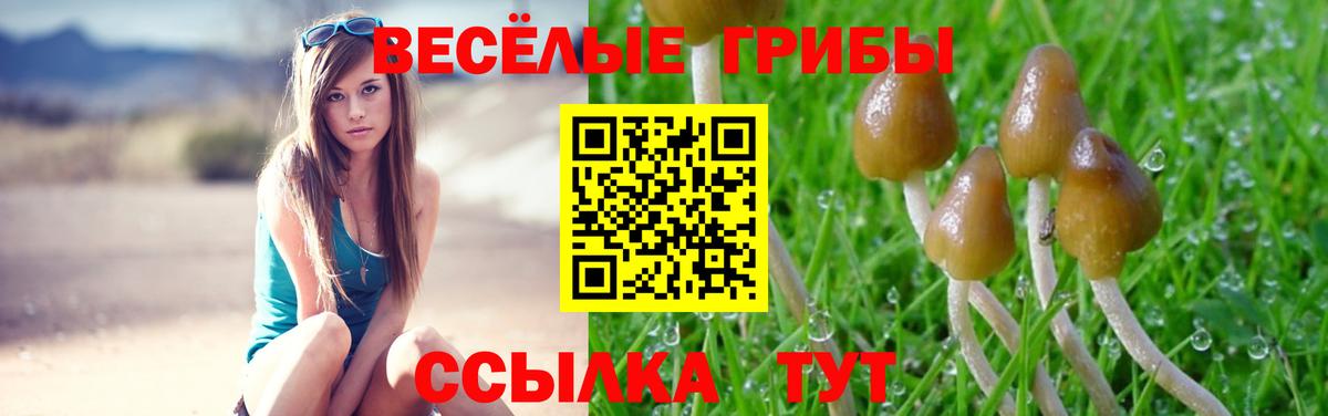 Псилоцибиновые грибы Psilocybe  Вход с VPN  Тихорецк 